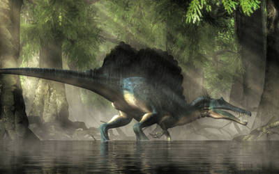 Spinosaurus in a  Swamp