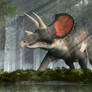 Triceratops in a Forest