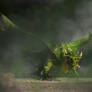 The Green Dragon Approaches