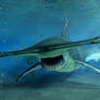 Hammerhead4