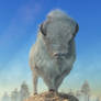 Angry White Buffalo