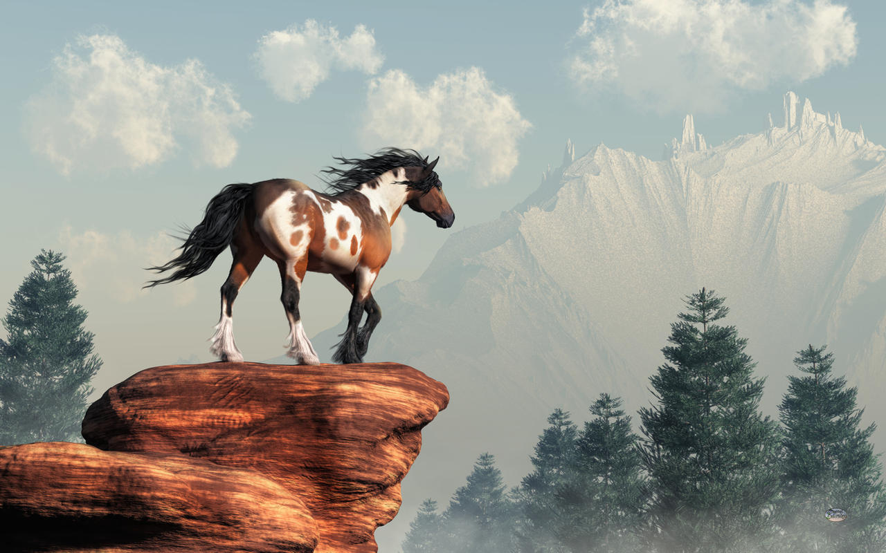 Mustang Valley