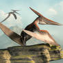 Pteranodons