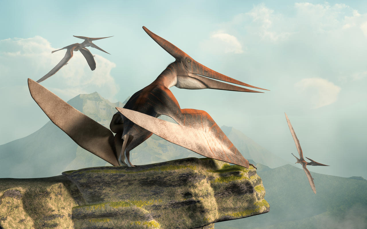 Pteranodons
