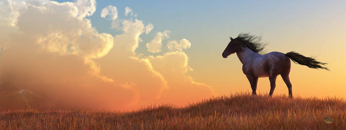 Wild Horse and Approaching Storm