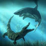 Shark vs Crocodile