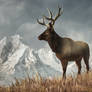 Elk