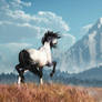 Blue Roan and Distant Mountain