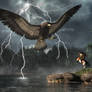 Thunderbird