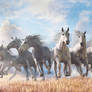 Seven Horses