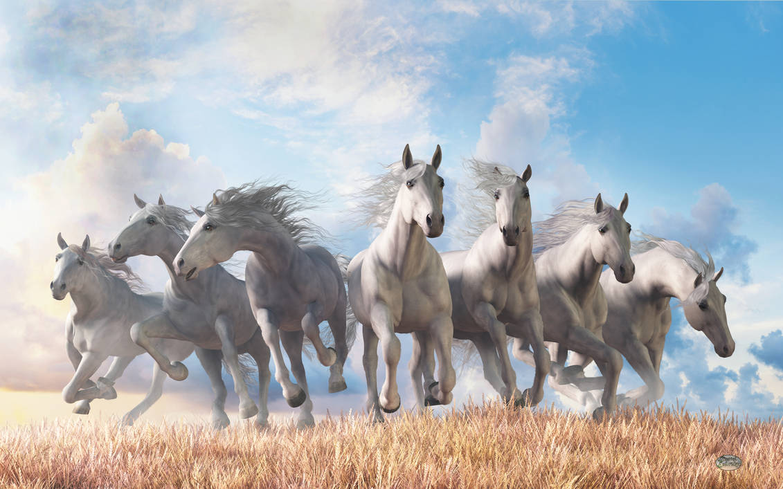Seven Horses by deskridge on DeviantArt