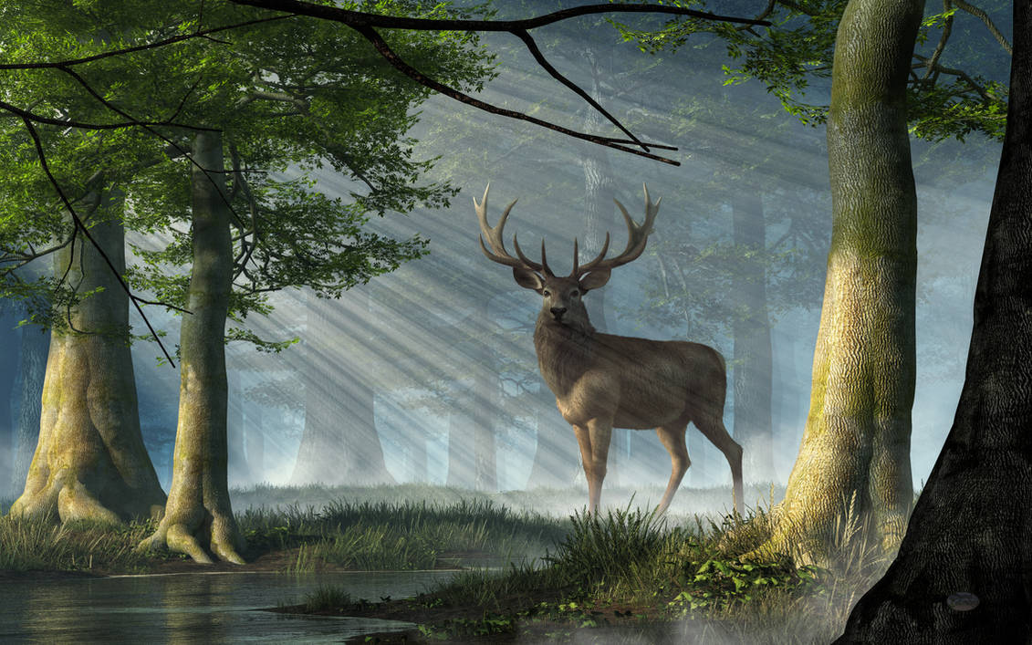 Red Deer in the Deep Forest