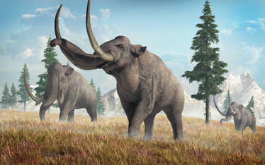 Columbian Mammoths