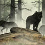 Black Wolves