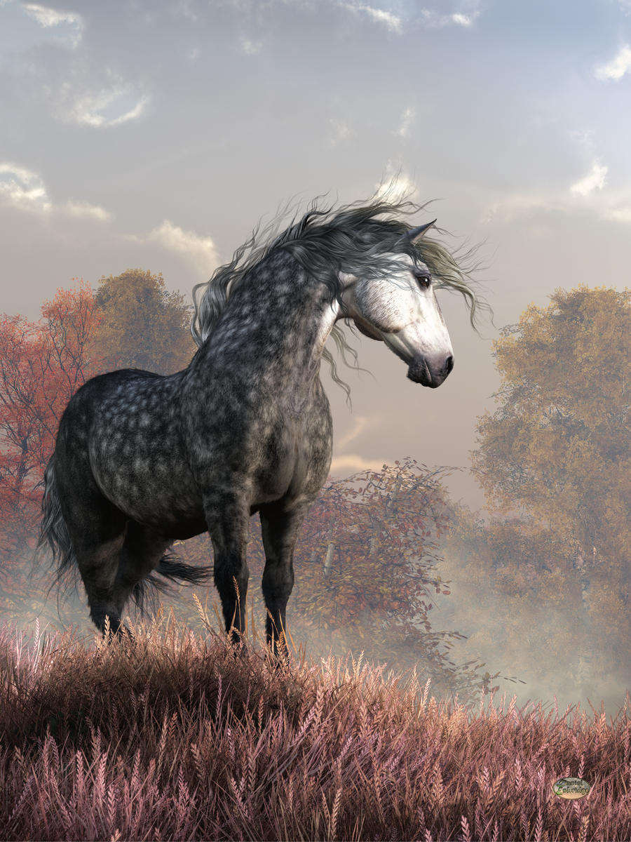 Percheron