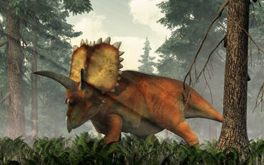 Coahuilaceratops