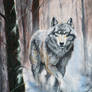 Wolf in a Winter Forest