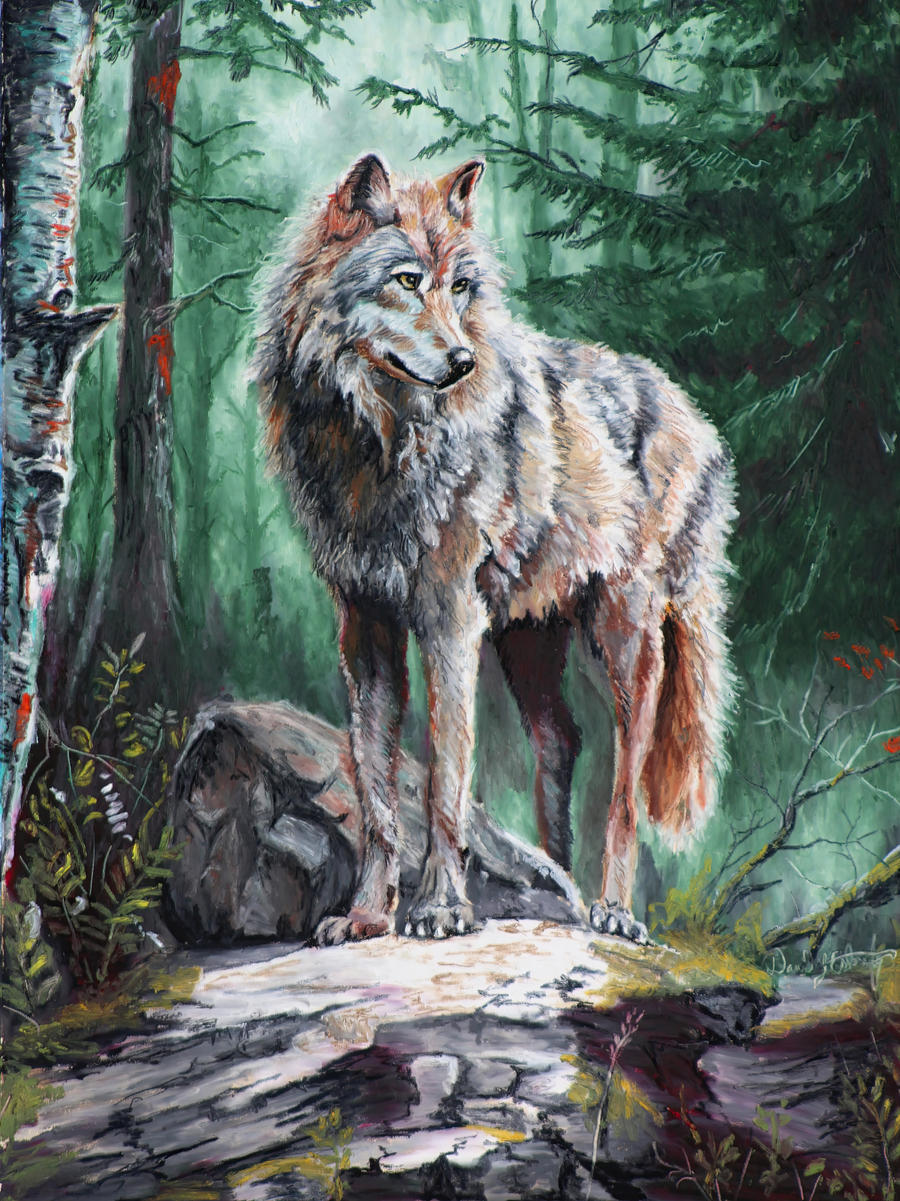 TimberWolf by deskridge on DeviantArt