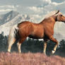 Wild Belgian Horse