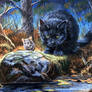 The Midnight Cat and Little Gray Mouse