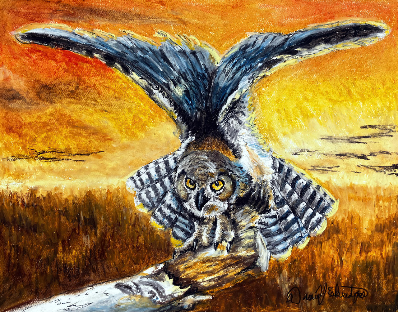 Owl at Sunset