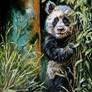 Peekaboo Panda