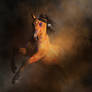 Warrior Spirit