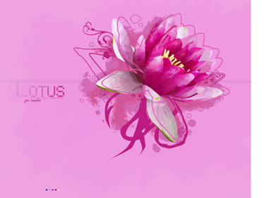 Lotus Wallpaper