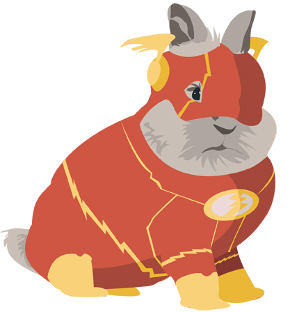 Flash Bunny