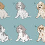 Hawthorne's Bow x Victory Tour Litter / 2/7 OPEN