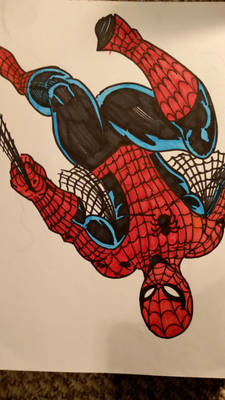 Spideydoodle2