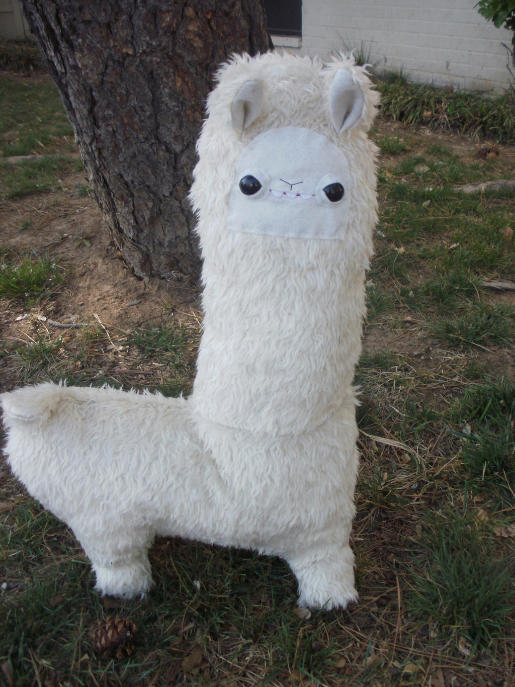 Basil the Llama