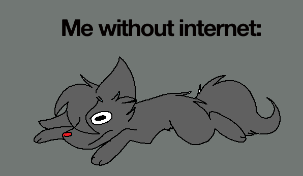 Without Internet