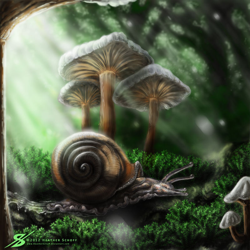 Mushroom Snail.