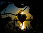 I Heart the Sun by darklabyrinthe