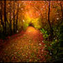 The Enchanted Forest