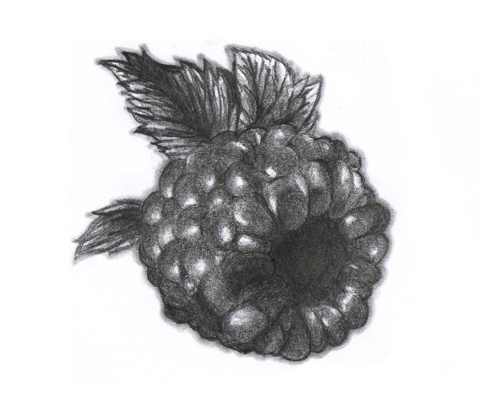 Raspberry by Naya-2D on DeviantArt
