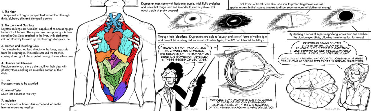 quick bio lesson by milkydraws8 on DeviantArt