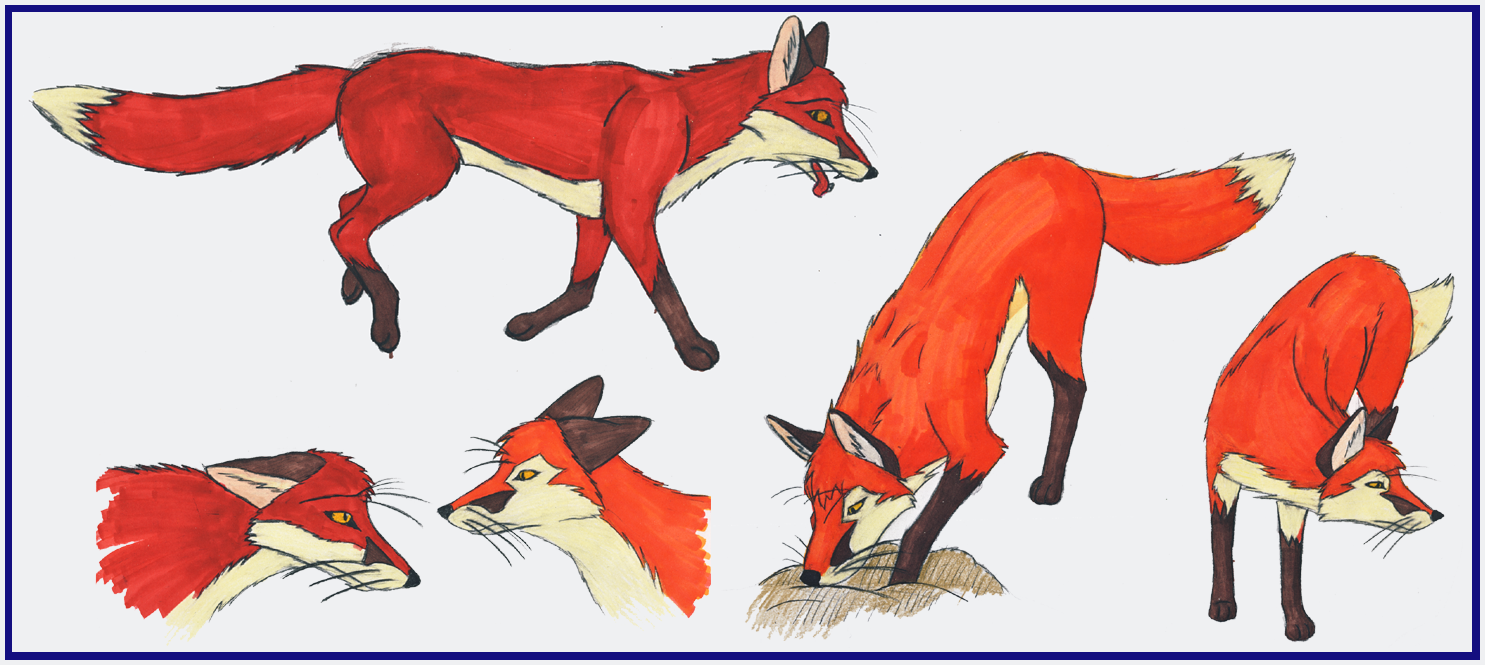 Assorted Foxyness