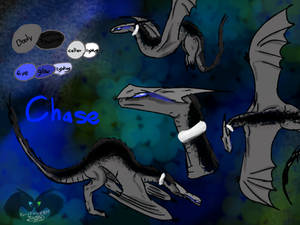 Chase Ref Sheet