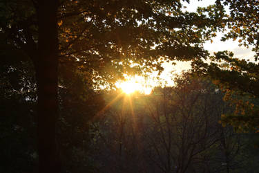 Mont Royal Sunset