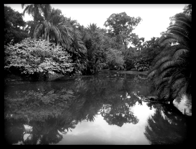 lagos de palermo - mirrorwater