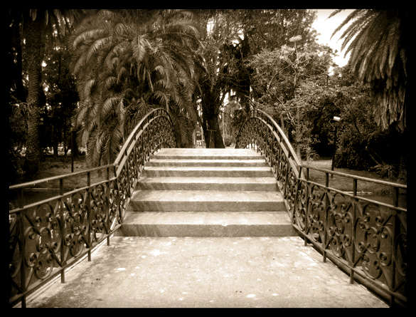 lagos de palermo - puente