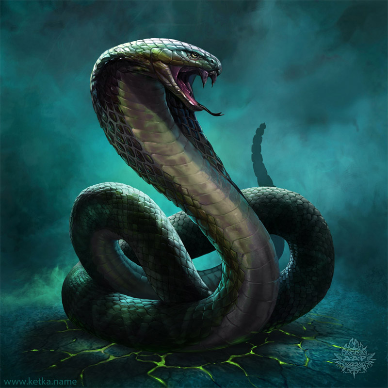 snake by Ketka