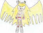 Spirit the Hedgehog Lv 3 {Final Form} by TRIPLE84E