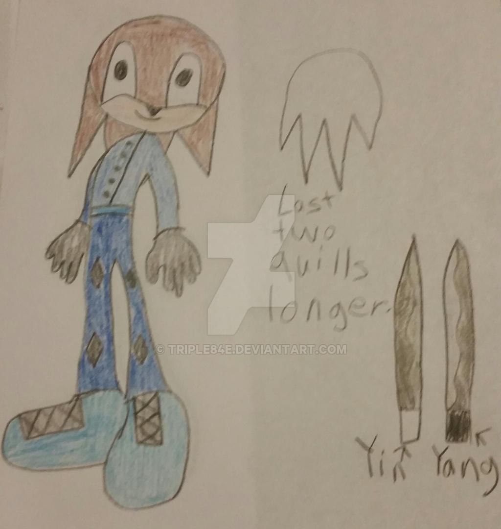 Stone-Cutter the Echidna