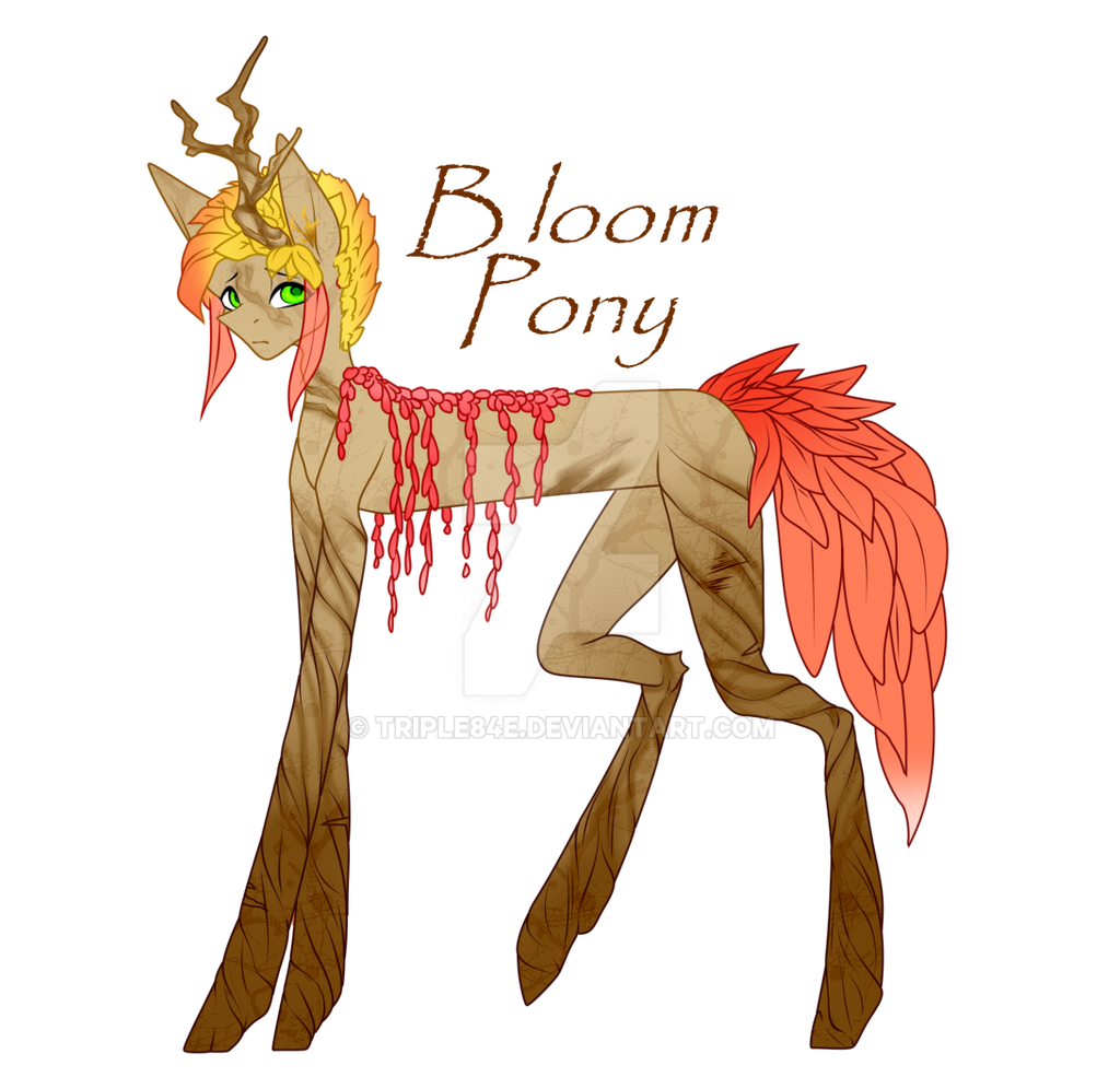 Bloom Pony