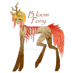 Bloom Pony