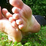 Barefoot in Grass