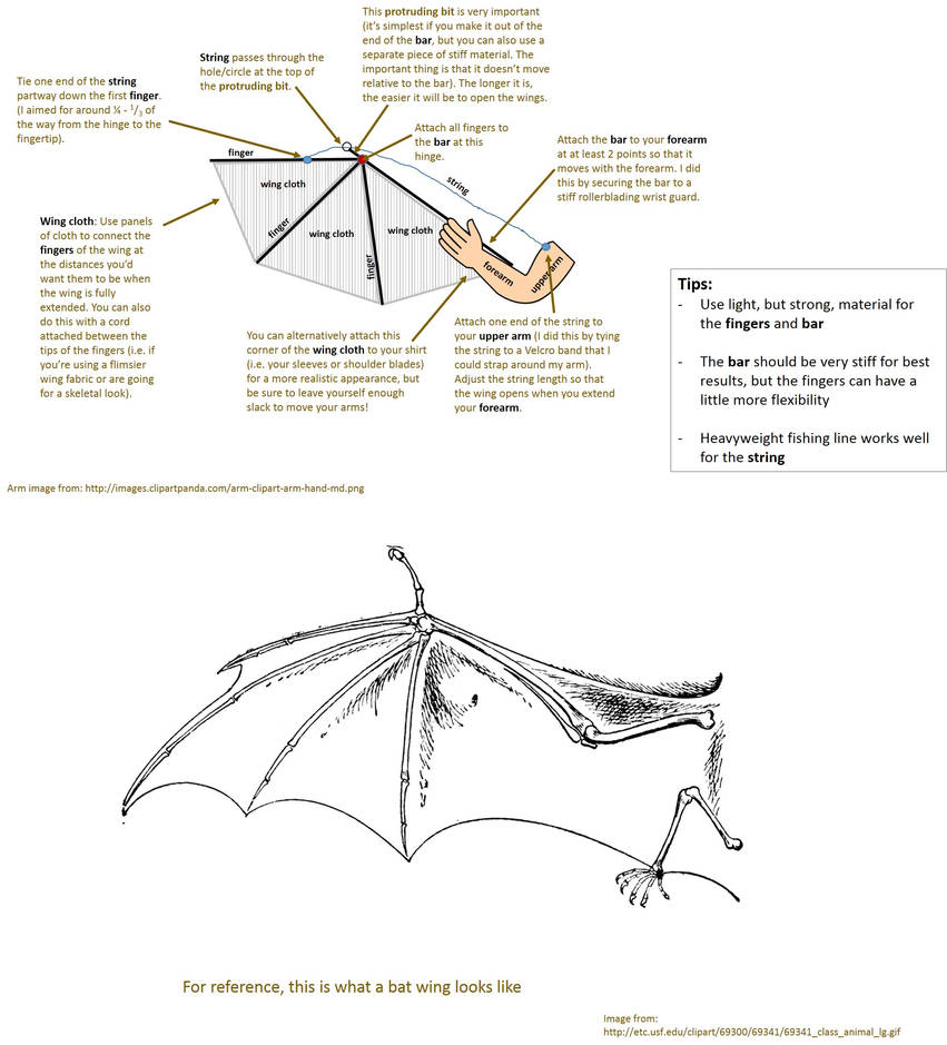 Homemade Anatomical Bat Wing - design essentials by spiritwinned on ...